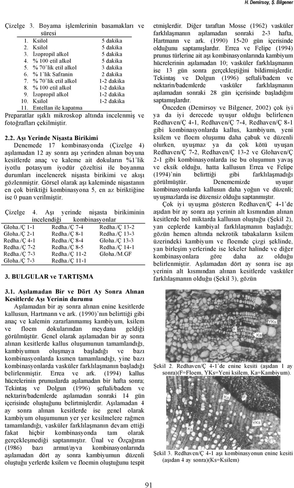 Entellan ile kapatma Preparatlar ışıklı mikroskop altında incelenmiş ve fotoğrafları çekilmiştir. 2.