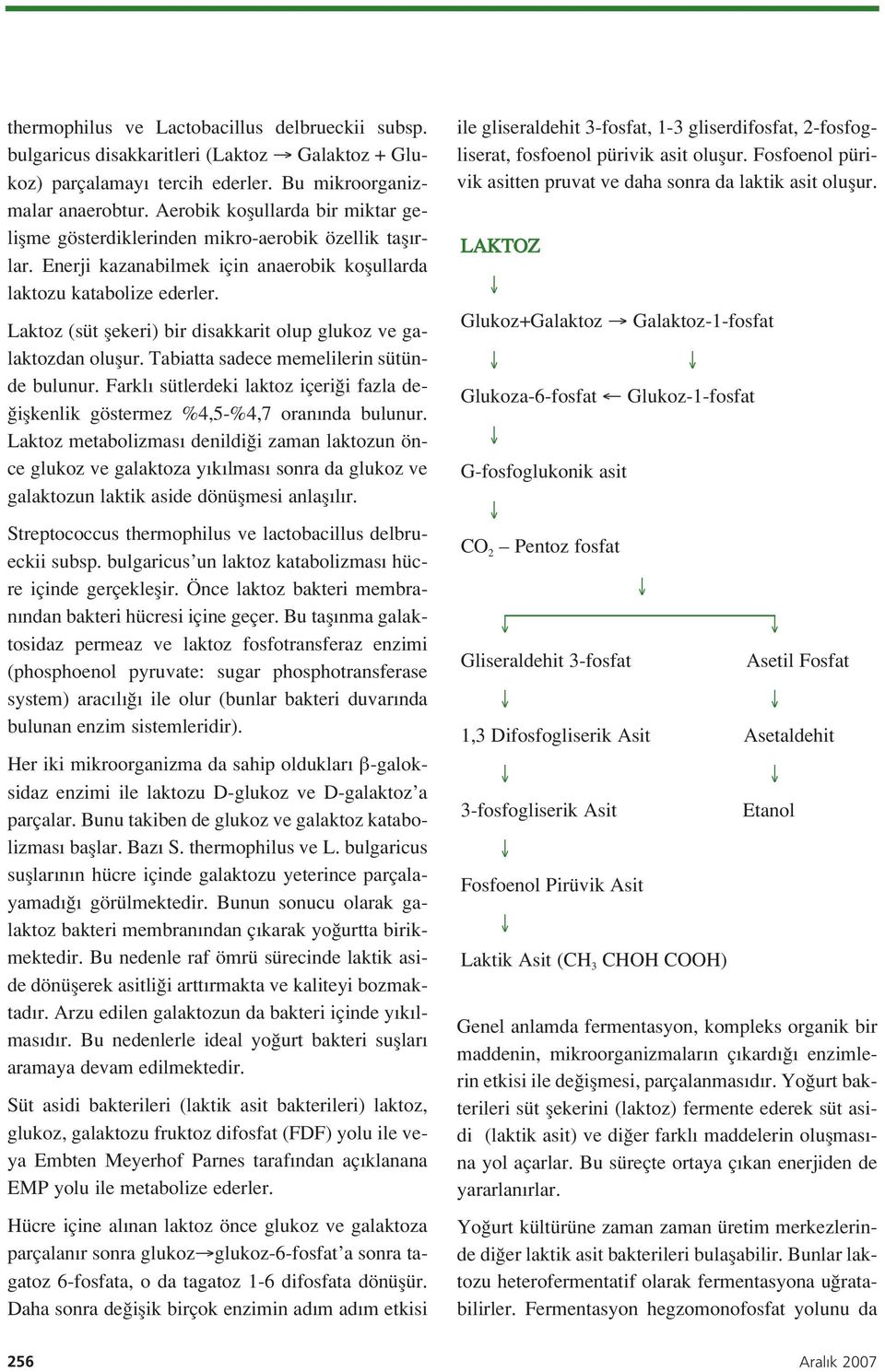 Laktoz (süt flekeri) bir disakkarit olup glukoz ve galaktozdan oluflur. Tabiatta sadece memelilerin sütünde bulunur.