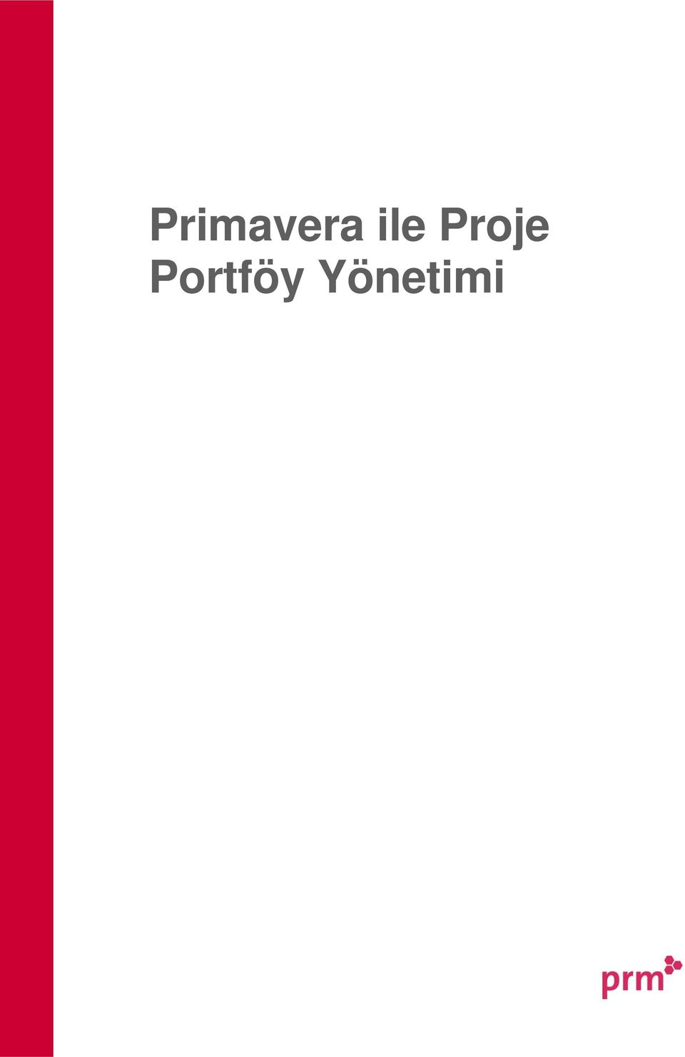 Portföy