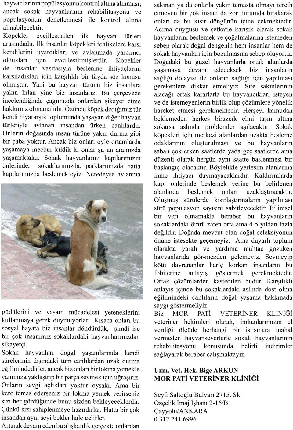 Köpekler de insanlar vasıtasıyla beslenme ihtiyaçlarını karşıladıkları için karşılıklı bir fayda söz konusu olmuştur. Yani bu hayvan türünü biz insanlara yakın kılan yine biz insanlarız.