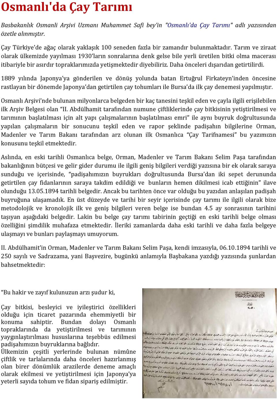 Tarım ve ziraat olarak ülkemizde yayılması 1930 ların sonralarına denk gelse bile yerli üretilen bitki olma macerası itibariyle bir asırdır topraklarımızda yetişmektedir diyebiliriz.