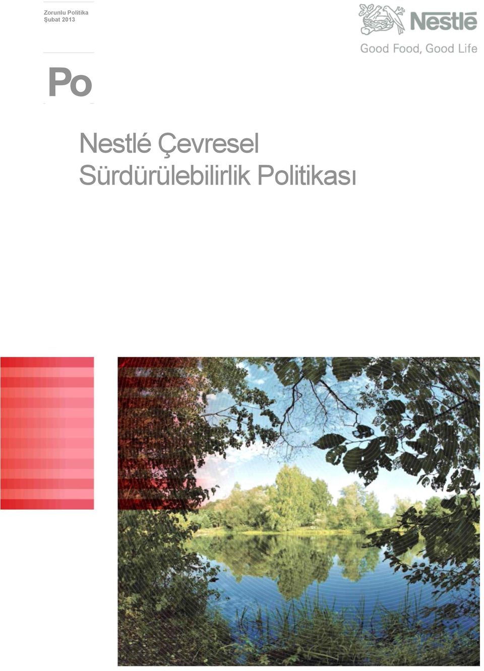 Nestlé Çevresel