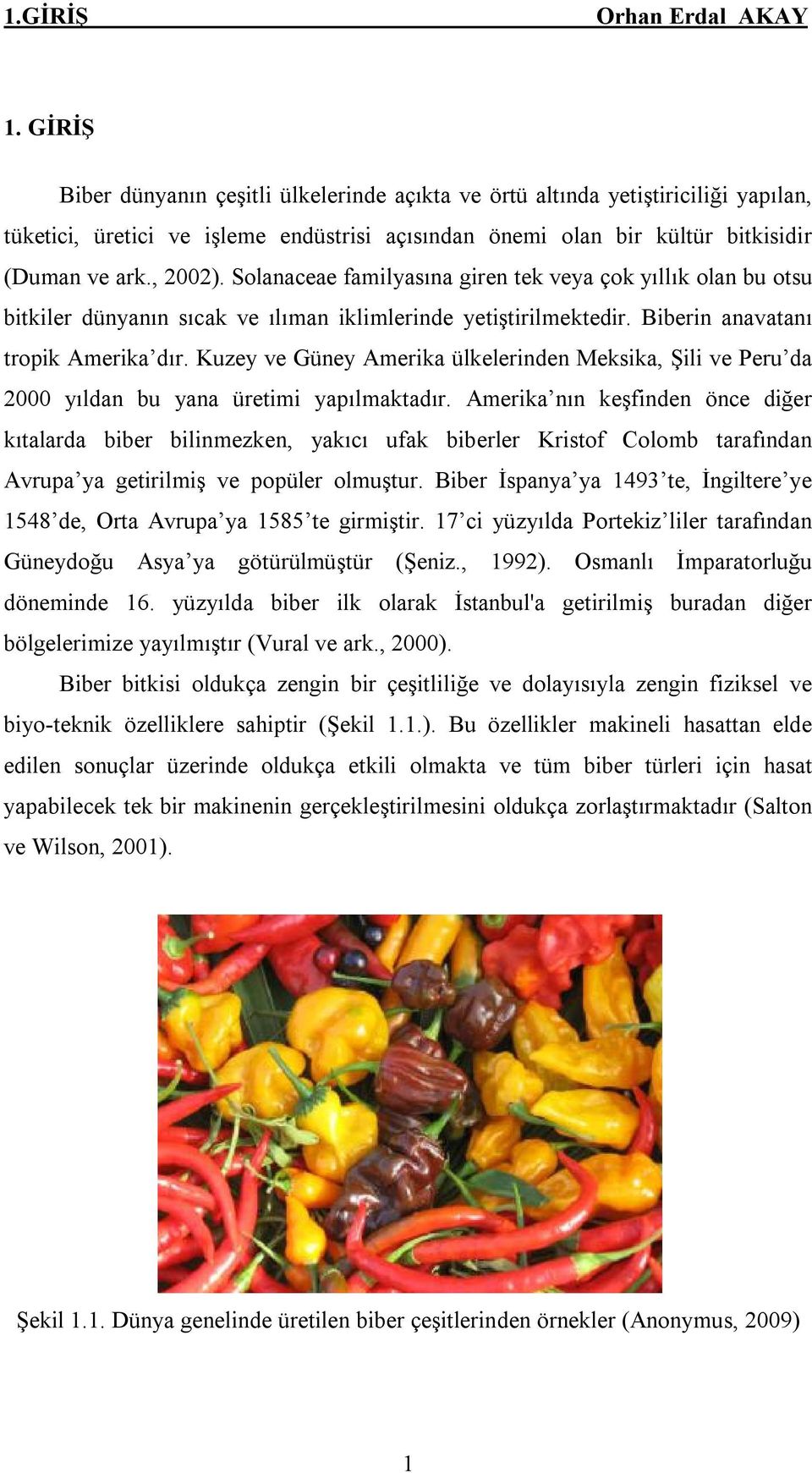 Solanaceae familyasına giren tek veya çok yıllık olan bu otsu bitkiler dünyanın sıcak ve ılıman iklimlerinde yetiştirilmektedir. Biberin anavatanı tropik Amerika dır.