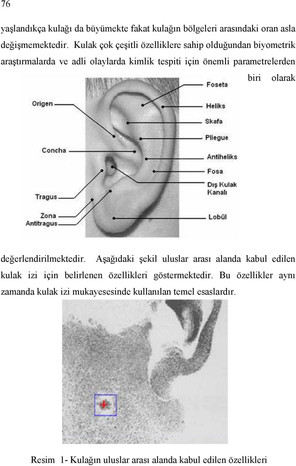 parametrelerden biri olarak değerlendirilmektedir.