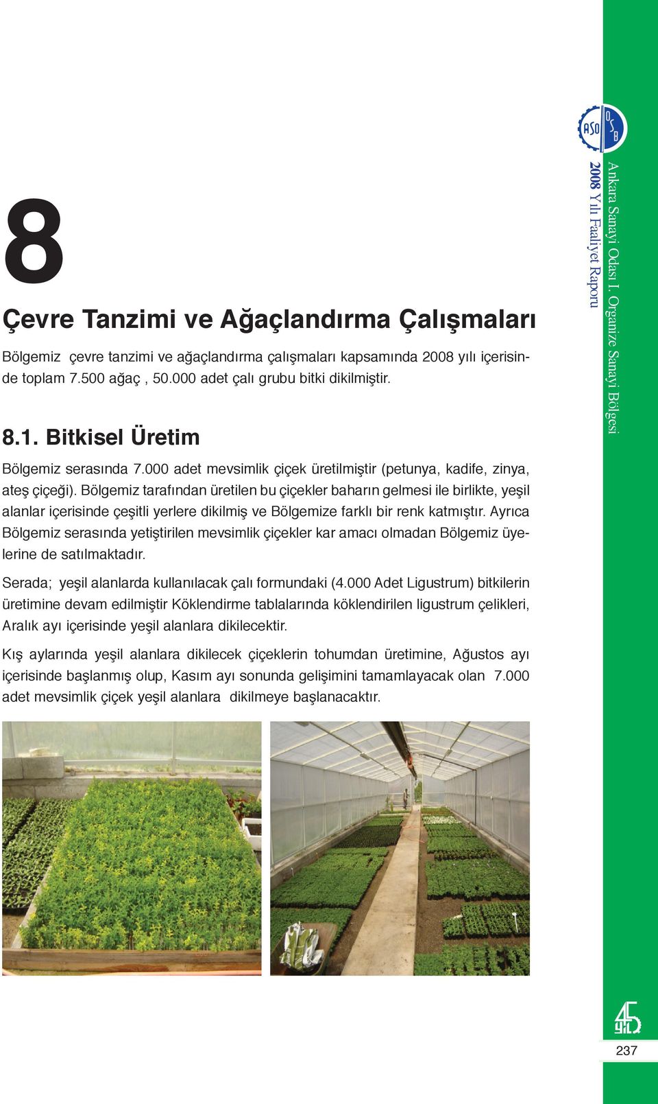 Bölgemiz tarafından üretilen bu çiçekler baharın gelmesi ile birlikte, yeşil alanlar içerisinde çeşitli yerlere dikilmiş ve Bölgemize farklı bir renk katmıştır.