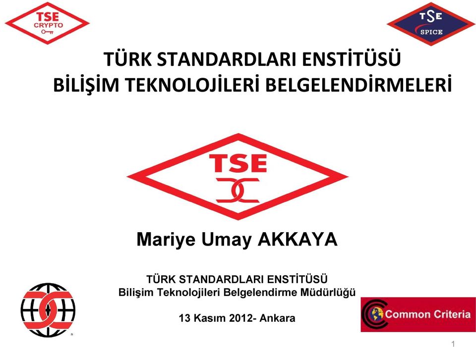 AKKAYA TÜRK STANDARDLARI ENSTİTÜSÜ Bilişim