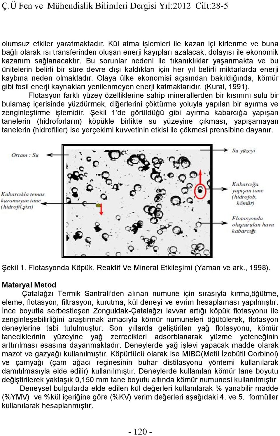 Bu sorunlar nedeni ile tıkanıklıklar yaşanmakta ve bu ünitelerin belirli bir süre devre dışı kaldıkları için her yıl belirli miktarlarda enerji kaybına neden olmaktadır.