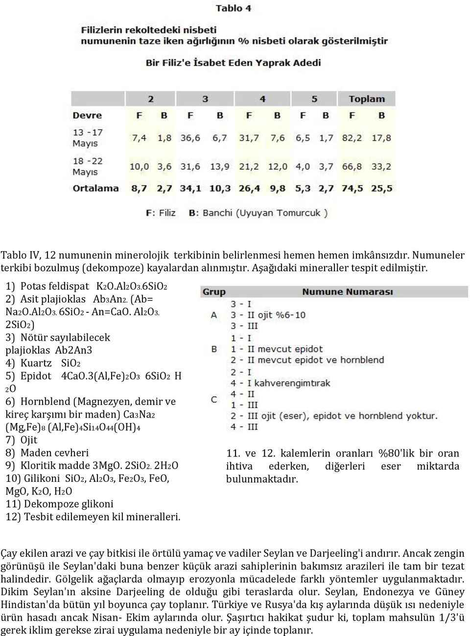 3(Al,Fe)2O3 6SiO2 H 2O 6) Hornblend (Magnezyen, demir ve kireç karşımı bir maden) Ca3Na2 (Mg,Fe)8 (Al,Fe)4Si14O44(OH)4 7) Ojit 8) Maden cevheri 9) Kloritik madde 3MgO. 2SiO2.