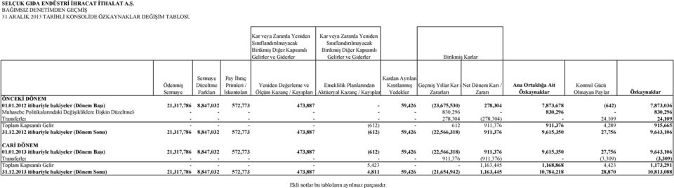 Yeniden Sınıflandırılmayacak Birikmiş Diğer Kapsamlı Gelirler ve Giderler Birikmiş Karlar Ödenmiş Sermaye Sermaye Düzeltme Farkları Pay İhraç Primleri / İskontoları Yeniden Değerleme ve Ölçüm Kazanç