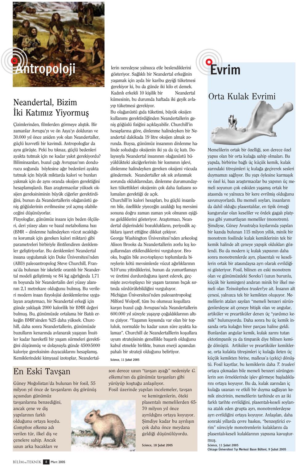 Bir zamanlar Avrupa y ve ön Asya y dolduran ve 30.000 y l önce aniden yok olan Neandertaller, güçlü kuvvetli bir kavimdi. Antropologlar da ayn görüflte.