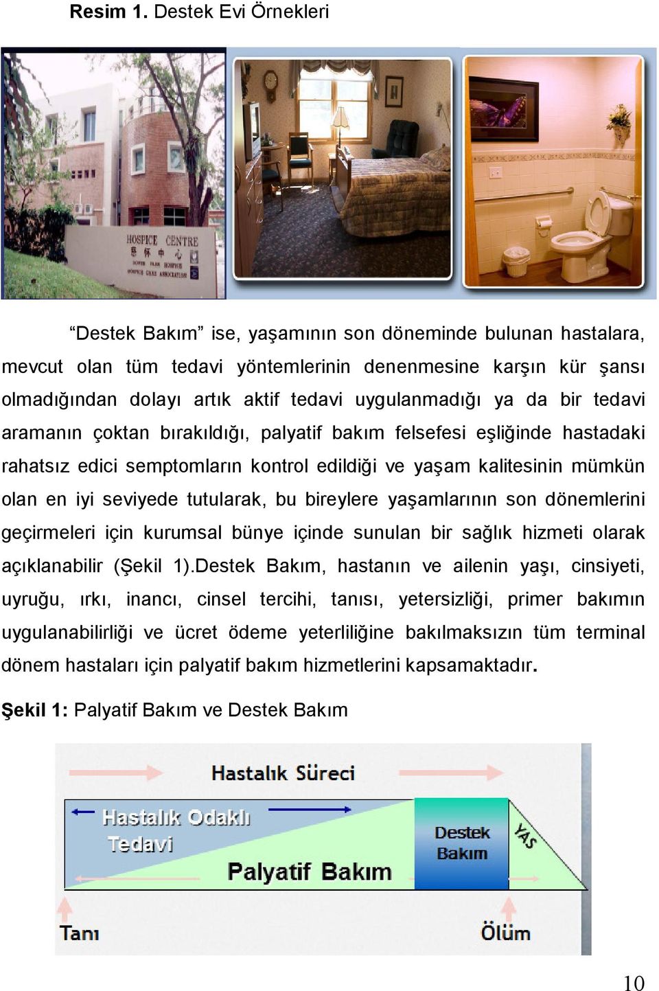 uygulanmadığı ya da bir tedavi aramanın çoktan bırakıldığı, palyatif bakım felsefesi eşliğinde hastadaki rahatsız edici semptomların kontrol edildiği ve yaşam kalitesinin mümkün olan en iyi seviyede