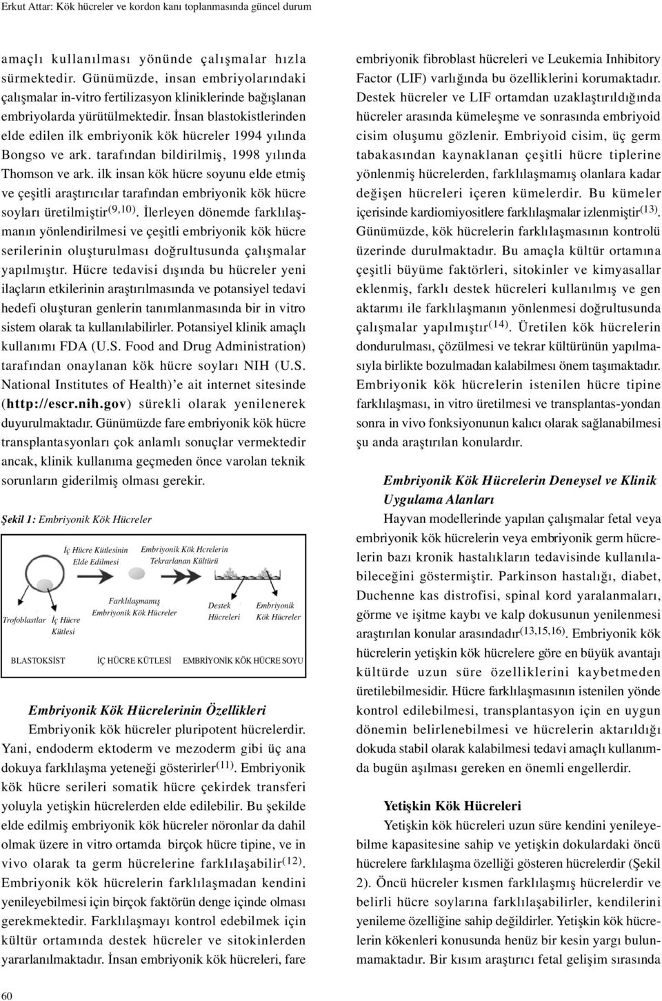 nsan blastokistlerinden elde edilen ilk embriyonik kök hücreler 1994 yılında Bongso ve ark. tarafından bildirilmi, 1998 yılında Thomson ve ark.