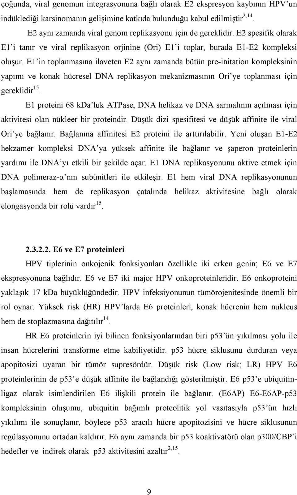 E1 in toplanmasına ilaveten E2 aynı zamanda bütün pre-initation kompleksinin yapımı ve konak hücresel DNA replikasyon mekanizmasının Ori ye toplanması için gereklidir 15.