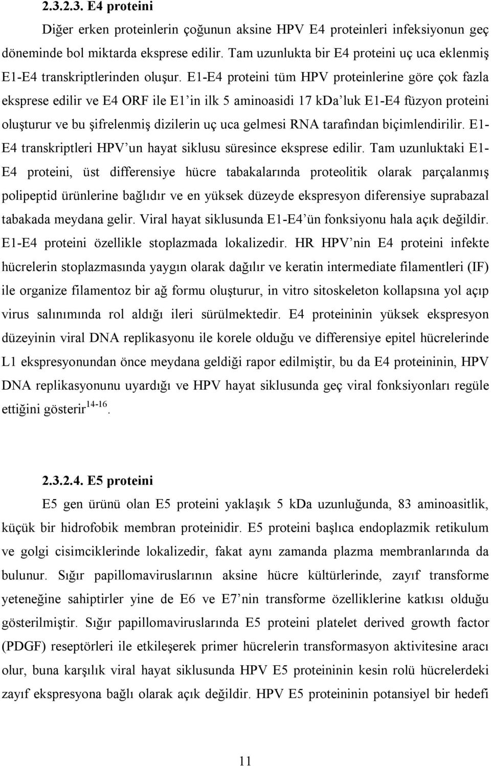 E1-E4 proteini tüm HPV proteinlerine göre çok fazla eksprese edilir ve E4 ORF ile E1 in ilk 5 aminoasidi 17 kda luk E1-E4 füzyon proteini oluşturur ve bu şifrelenmiş dizilerin uç uca gelmesi RNA