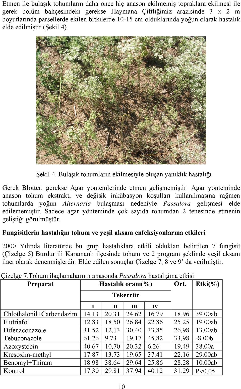 Agar yönteminde anason tohum ekstraktı ve değişik inkübasyon koşulları kullanılmasına rağmen tohumlarda yoğun Alternaria bulaşması nedeniyle Passalora gelişmesi elde edilememiştir.