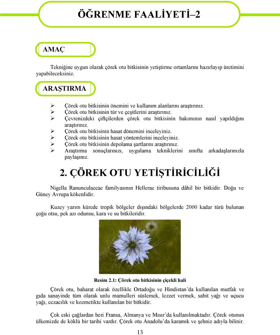 Çevrenizdeki çiftçilerden çörek otu bitkisinin bakımının nasıl yapıldığını araģtırınız. Çörek otu bitkisinin hasat dönemini inceleyiniz. Çörek otu bitkisinin hasat yöntemlerini inceleyiniz.