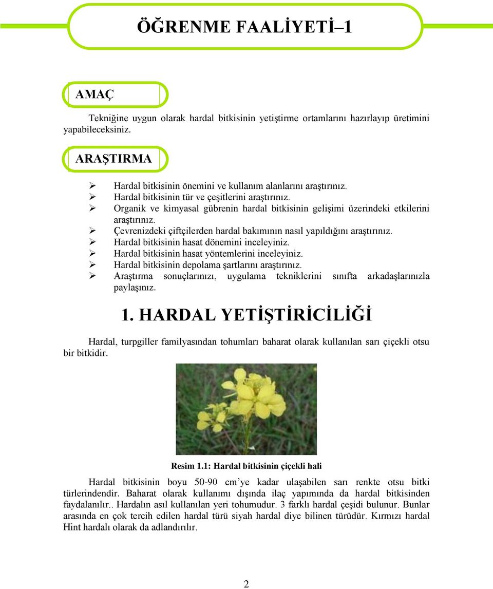 Organik ve kimyasal gübrenin hardal bitkisinin geliģimi üzerindeki etkilerini araģtırınız. Çevrenizdeki çiftçilerden hardal bakımının nasıl yapıldığını araģtırınız.