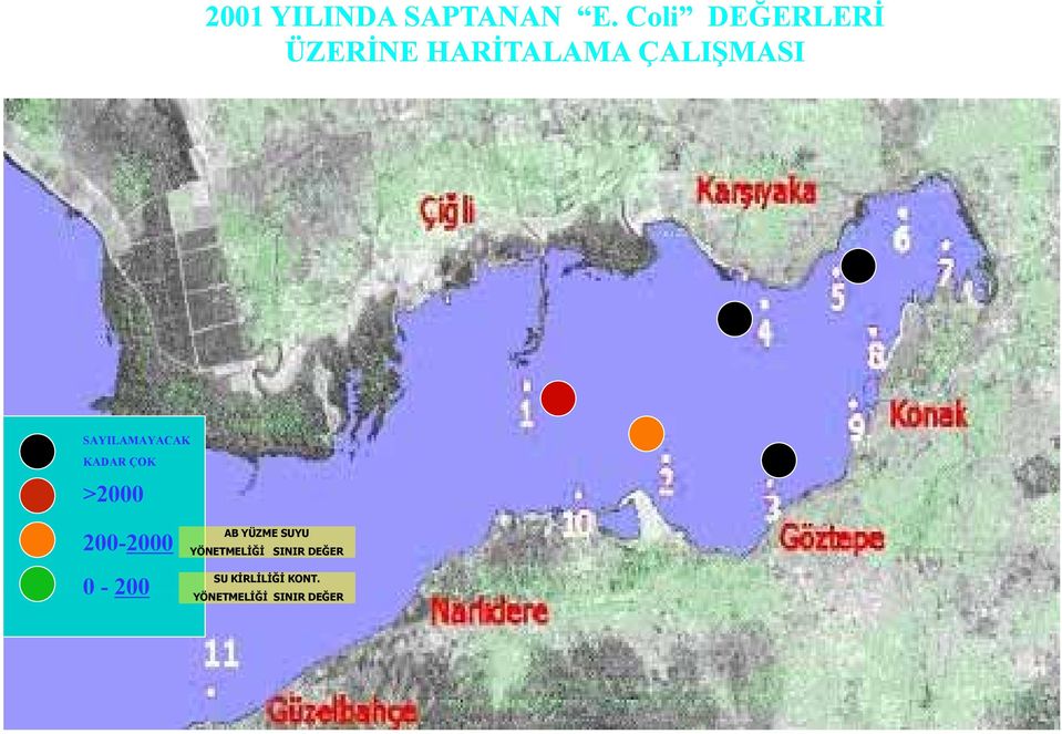 SAYILAMAYACAK KADAR ÇOK >2000 200-2000 AB YÜZME