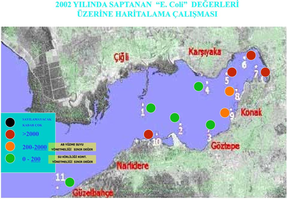 SAYILAMAYACAK KADAR ÇOK >2000 200-2000 AB YÜZME