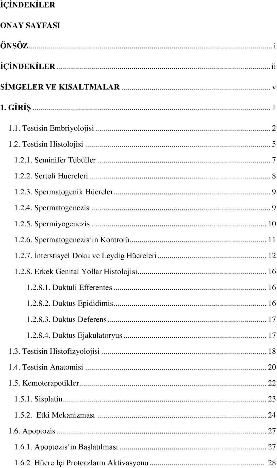 .. 16 1.2.8.1. Duktuli Efferentes... 16 1.2.8.2. Duktus Epididimis... 16 1.2.8.3. Duktus Deferens... 17 1.2.8.4. Duktus Ejakulatoryus... 17 1.3. Testisin Histofizyolojisi... 18 1.4. Testisin Anatomisi.