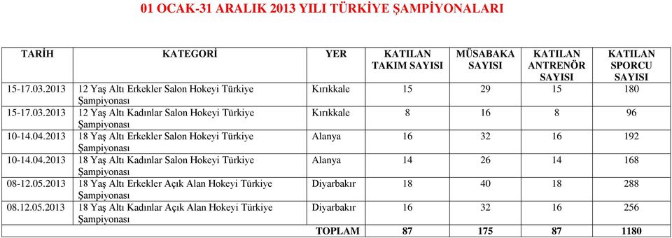 2013 18 Yaş Altı Erkekler Açık Alan Hokeyi Türkiye 08.12.05.
