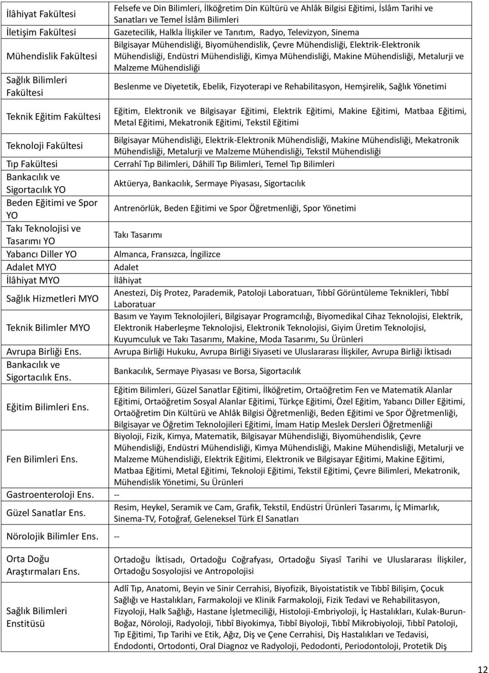 Felsefe ve Din Bilimleri, İlköğretim Din Kültürü ve Ahlâk Bilgisi Eğitimi, İslâm Tarihi ve Sanatları ve Temel İslâm Bilimleri Gazetecilik, Halkla İlişkiler ve Tanıtım, Radyo, Televizyon, Sinema