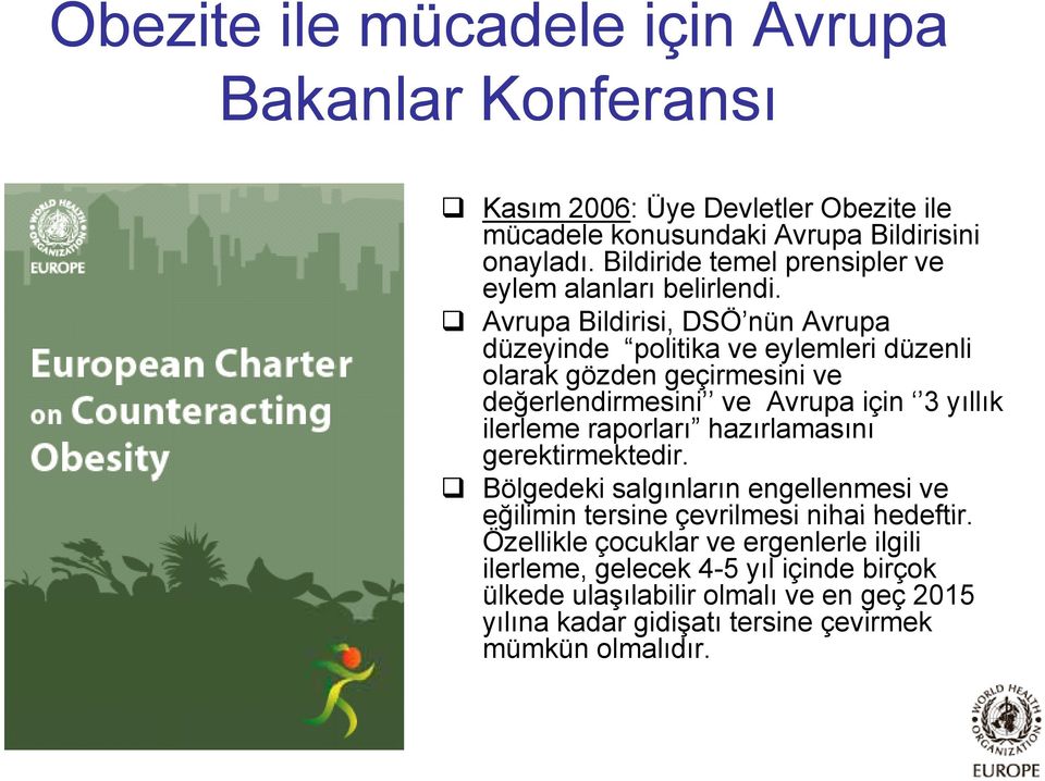 Avrupa Bildirisi, DSÖ nün Avrupa düzeyinde politika ve eylemleri düzenli olarak gözden geçirmesini ve değerlendirmesini ve Avrupa için 3 yıllık ilerleme l raporları