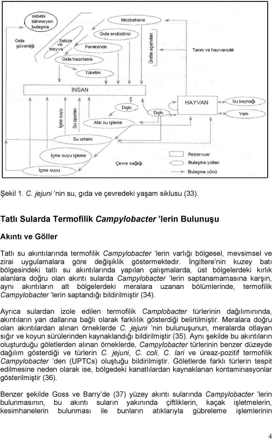 göstermektedir.