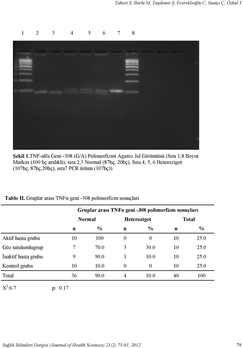 (107bç, 87bç,20bç), sıra7 PCR ürünü (107bç)) Tablo II.