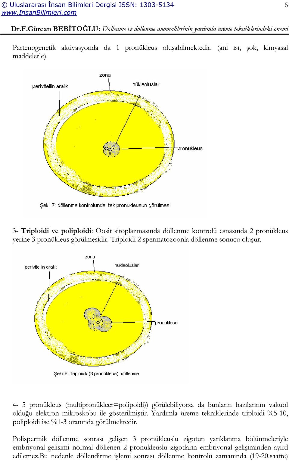 4-5 pronükleus (multipronükleer=polipoidi)) görülebiliyorsa da bunların bazılarının vakuol oldu u elektron mikroskobu ile gösterilmi tir.