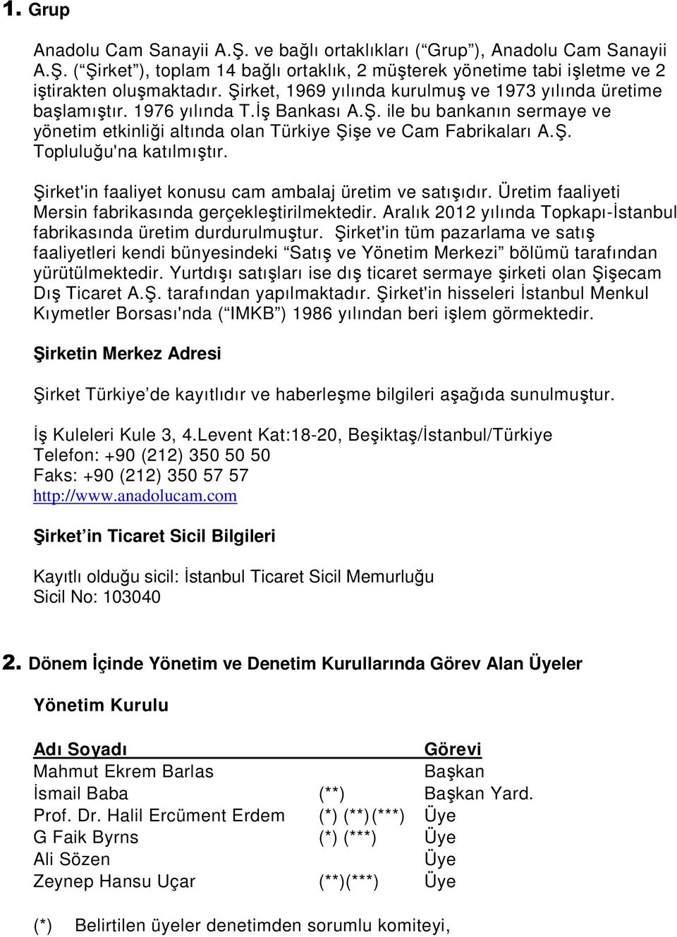 Şirket'in faaliyet konusu cam ambalaj üretim ve satışıdır. Üretim faaliyeti Mersin fabrikasında gerçekleştirilmektedir. Aralık 2012 yılında Topkapı-İstanbul fabrikasında üretim durdurulmuştur.