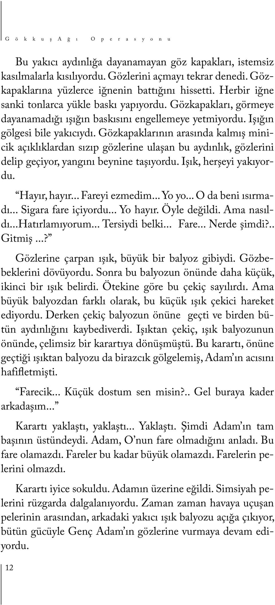 Gözkapaklarının arasında kalmış minicik açıklıklardan sızıp gözlerine ulaşan bu aydınlık, gözlerini delip geçiyor, yangını beynine taşıyordu. Işık, herşeyi yakıyordu. Hayır, hayır... Fareyi ezmedim.