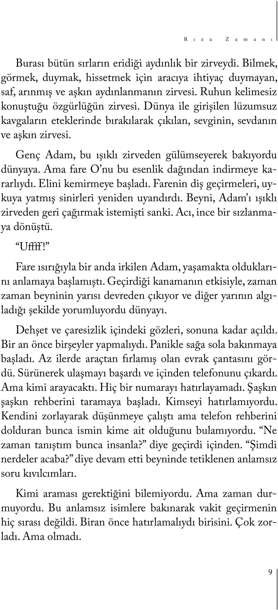 Genç Adam, bu ışıklı zirveden gülümseyerek bakıyordu dünyaya. Ama fare O nu bu esenlik dağından indirmeye kararlıydı. Elini kemirmeye başladı.