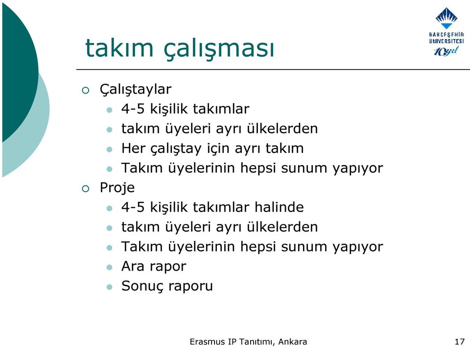 yapıyor Proje 4-5 kişilik takımlar halinde takım üyeleri ayrı ülkelerden