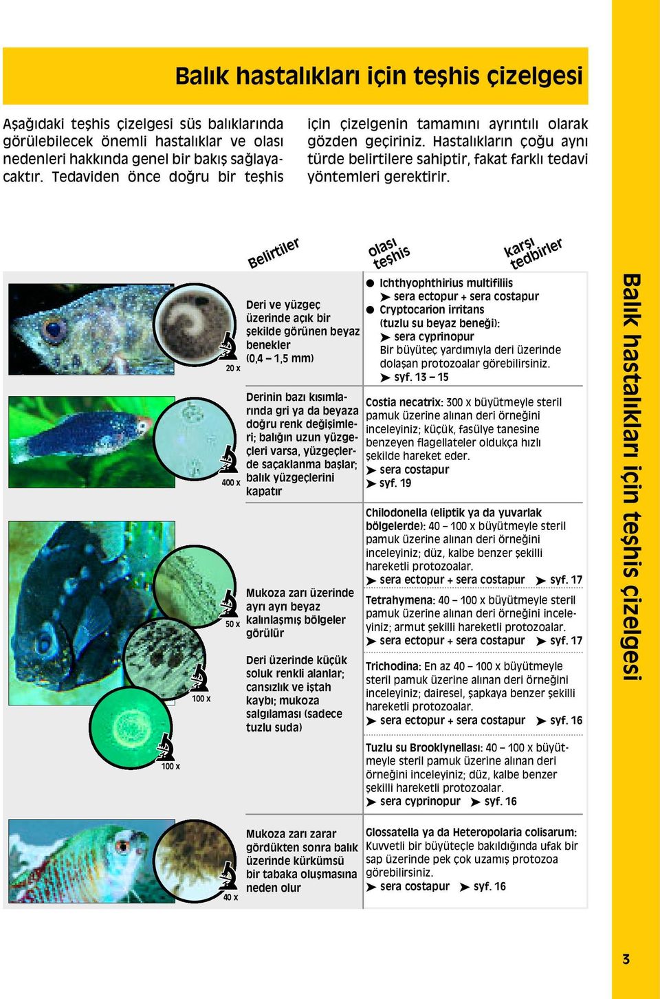 100 x 100 x 20 x 400 x 50 x 40 x Belirtiler Ichthyophthirius multifiliis sera ectopur + sera costapur Deri ve yüzgeá Cryptocarion irritans üzerinde aáık bir (tuzlu su beyaz beneapplei): ekilde