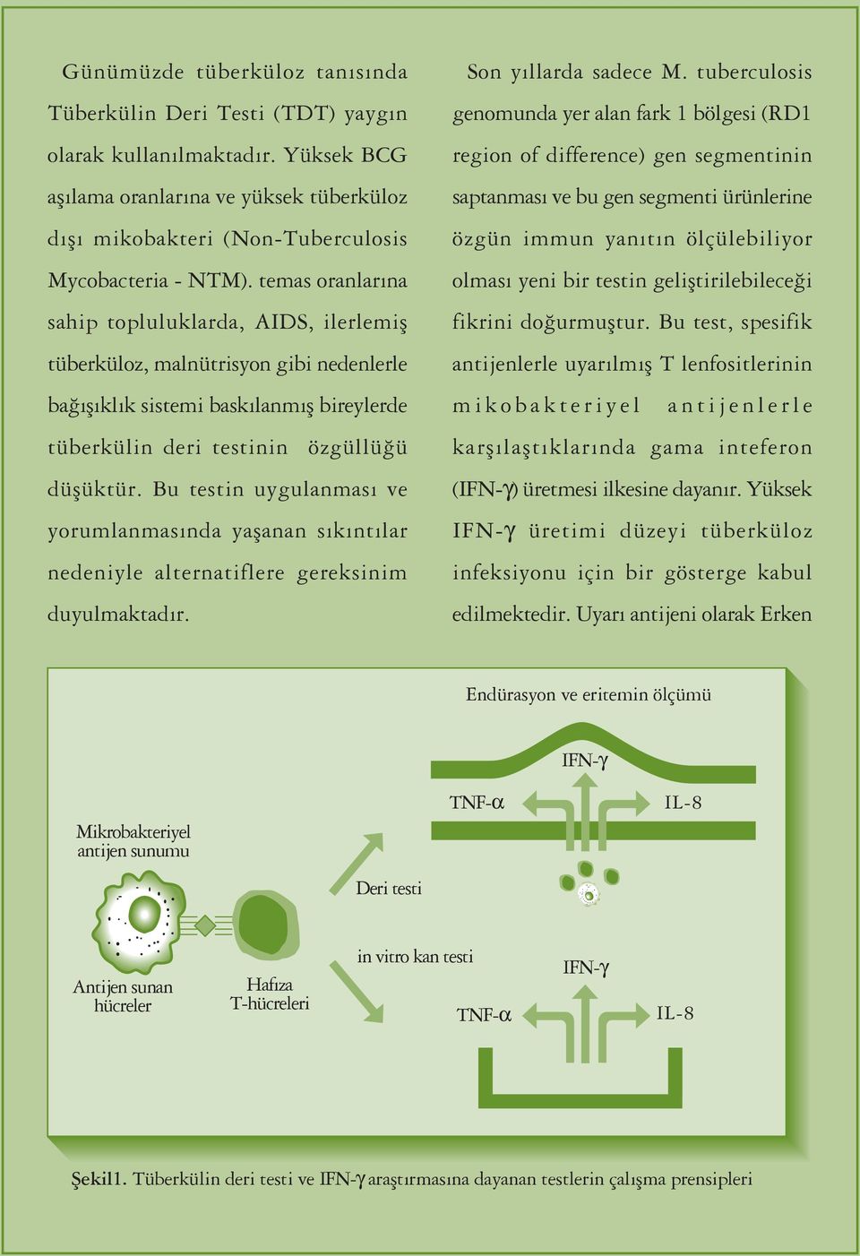 Bu testin uygulanmas ve yorumlanmas nda yaflanan s k nt lar nedeniyle alternatiflere gereksinim duyulmaktad r. Son y llarda sadece M.