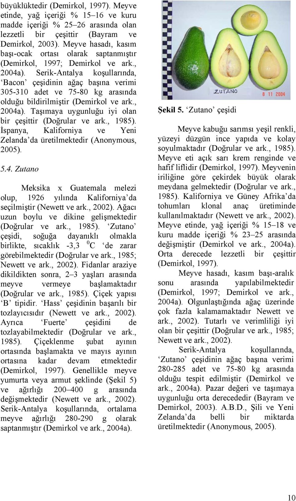 Serik-Antalya koşullarında, Bacon çeşidinin ağaç başına verimi 305-310 adet ve 75-80 kg arasında olduğu bildirilmiştir (Demirkol ve ark., 2004a).