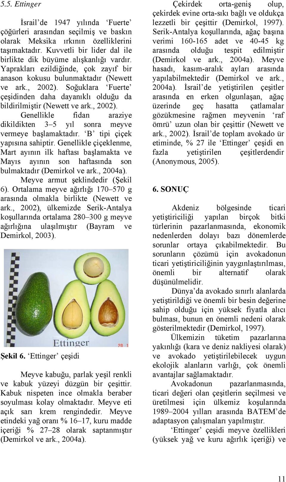 B tipi çiçek yapısına sahiptir. Genellikle çiçeklenme, Mart ayının ilk haftası başlamakta ve Mayıs ayının son haftasında son bulmaktadır (Demirkol ve ark., 2004a). Meyve armut şeklindedir (Şekil 6).