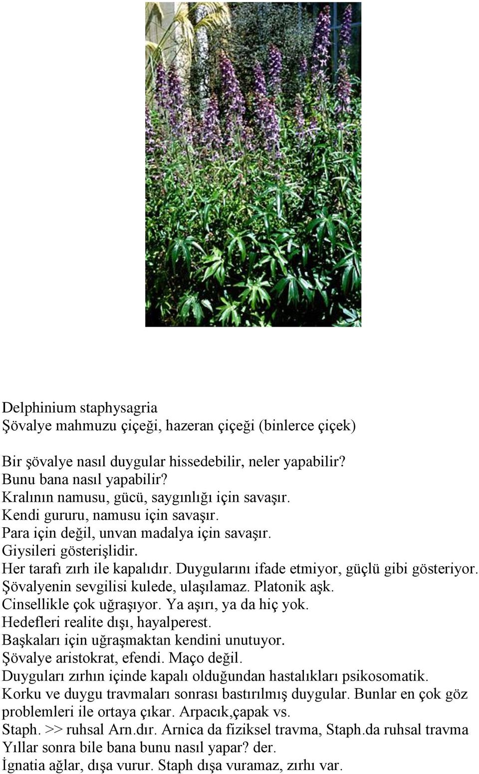 Duygularını ifade etmiyor, güçlü gibi gösteriyor. Şövalyenin sevgilisi kulede, ulaşılamaz. Platonik aşk. Cinsellikle çok uğraşıyor. Ya aşırı, ya da hiç yok. Hedefleri realite dışı, hayalperest.