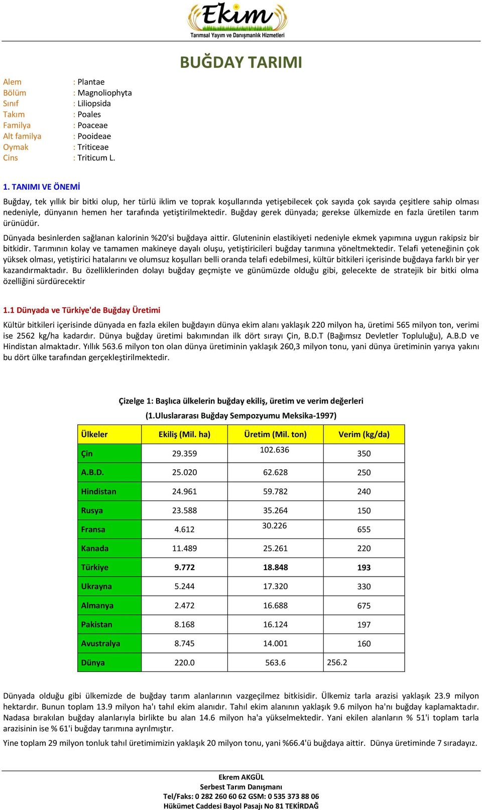 yetiştirilmektedir. Buğday gerek dünyada; gerekse ülkemizde en fazla üretilen tarım ürünüdür. Dünyada besinlerden sağlanan kalorinin %20'si buğdaya aittir.