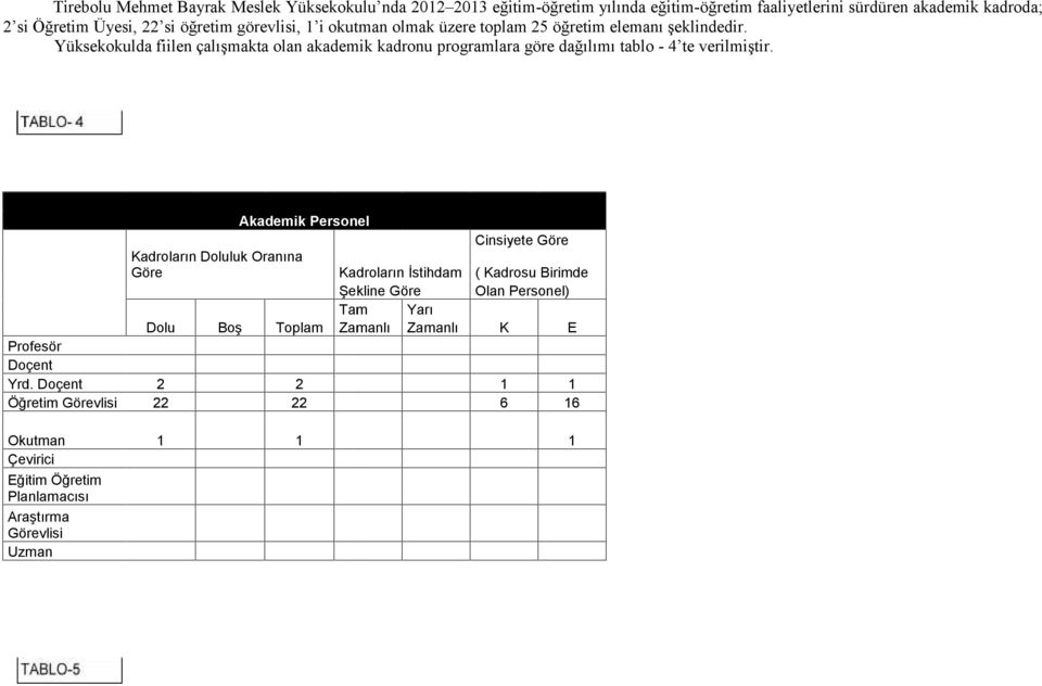 Yüksekokulda fiilen çalışmakta olan akademik kadronu programlara göre dağılımı tablo - 4 te verilmiştir.