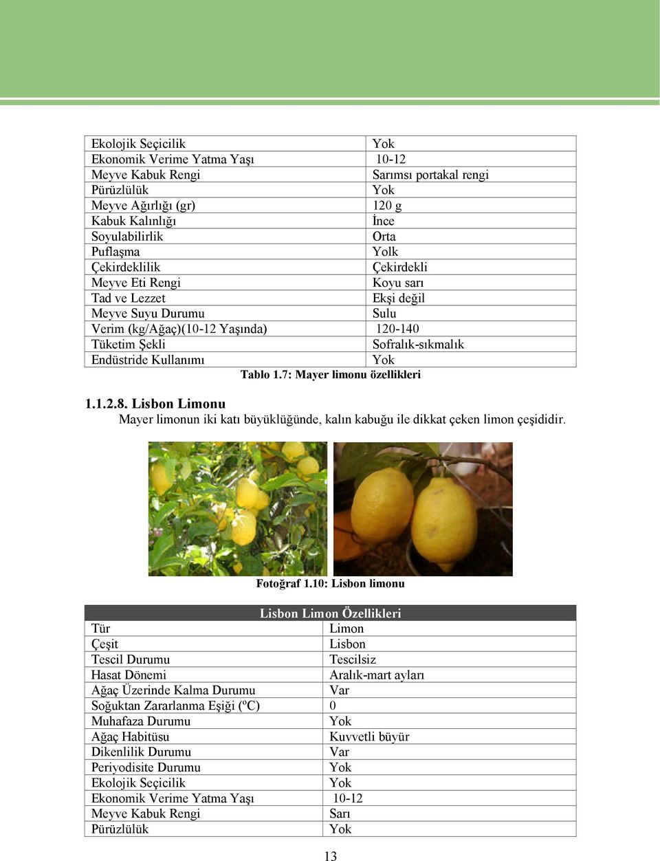 Tablo 1.7: Mayer limonu özellikleri 1.1.2.8. Lisbon Limonu Mayer limonun iki katı büyüklüğünde, kalın kabuğu ile dikkat çeken limon çeşididir. Fotoğraf 1.