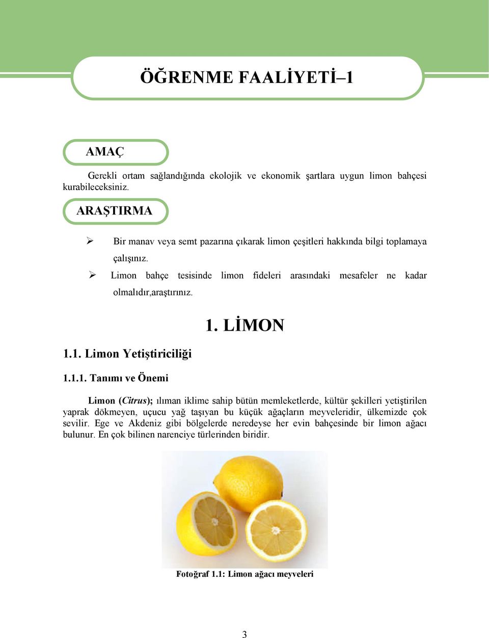 Limon bahçe tesisinde limon fideleri arasındaki mesafeler ne kadar olmalıdır,araştırınız. 1.1. Limon Yetiştiriciliği 1.1.1. Tanımı ve Önemi 1.