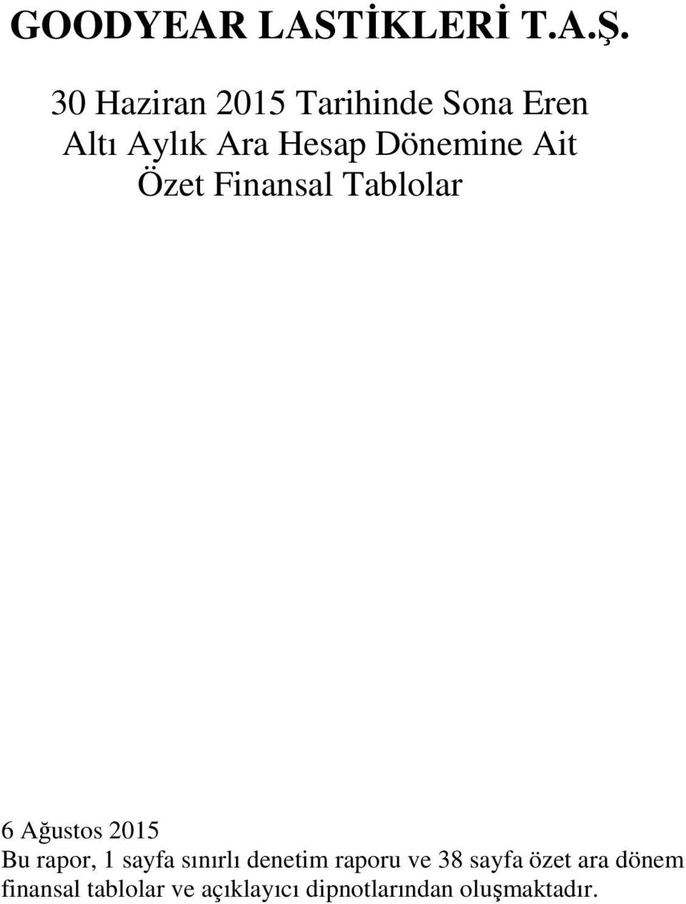 rapor, 1 sayfa sınırlı denetim raporu ve 38 sayfa özet ara