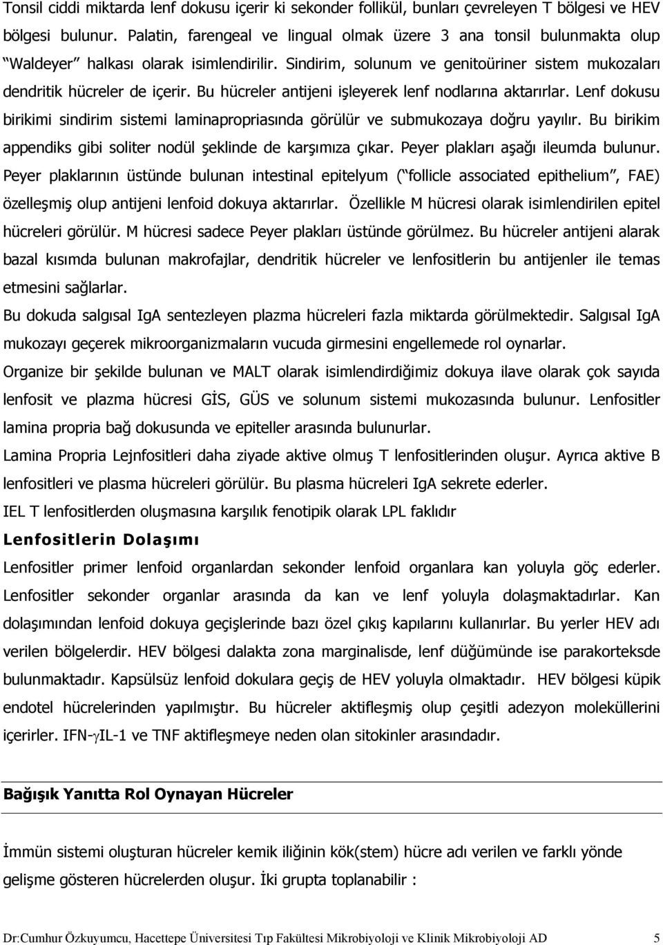 Bu hücreler antijeni işleyerek lenf nodlarına aktarırlar. Lenf dokusu birikimi sindirim sistemi laminapropriasında görülür ve submukozaya doğru yayılır.