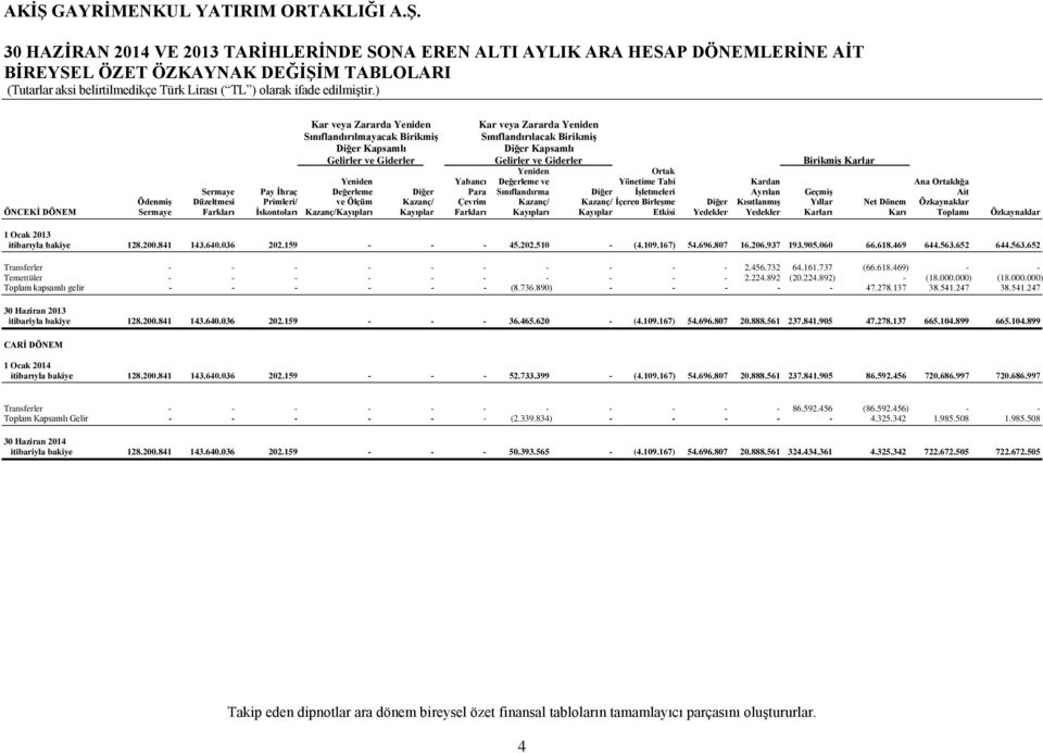 Ortaklığa Sermaye Pay İhraç Değerleme Diğer Para Sınıflandırma Diğer İşletmeleri Ayrılan Geçmiş Ait Ödenmiş Düzeltmesi Primleri/ ve Ölçüm Kazanç/ Çevrim Kazanç/ Kazanç/ İçeren Birleşme Diğer