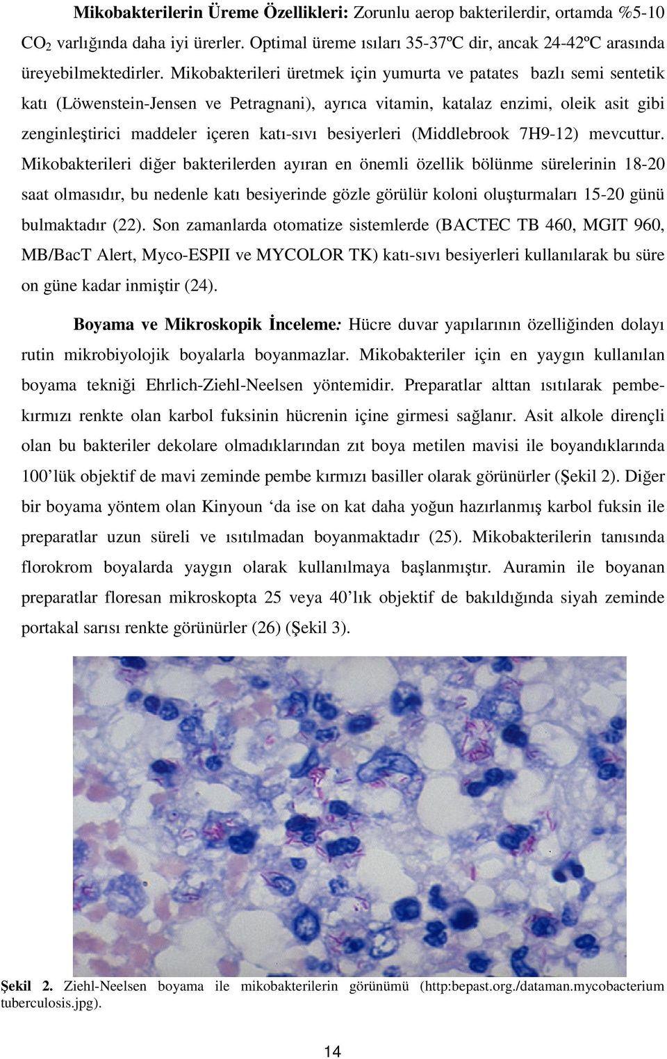 besiyerleri (Middlebrook H-1) mevcuttur.