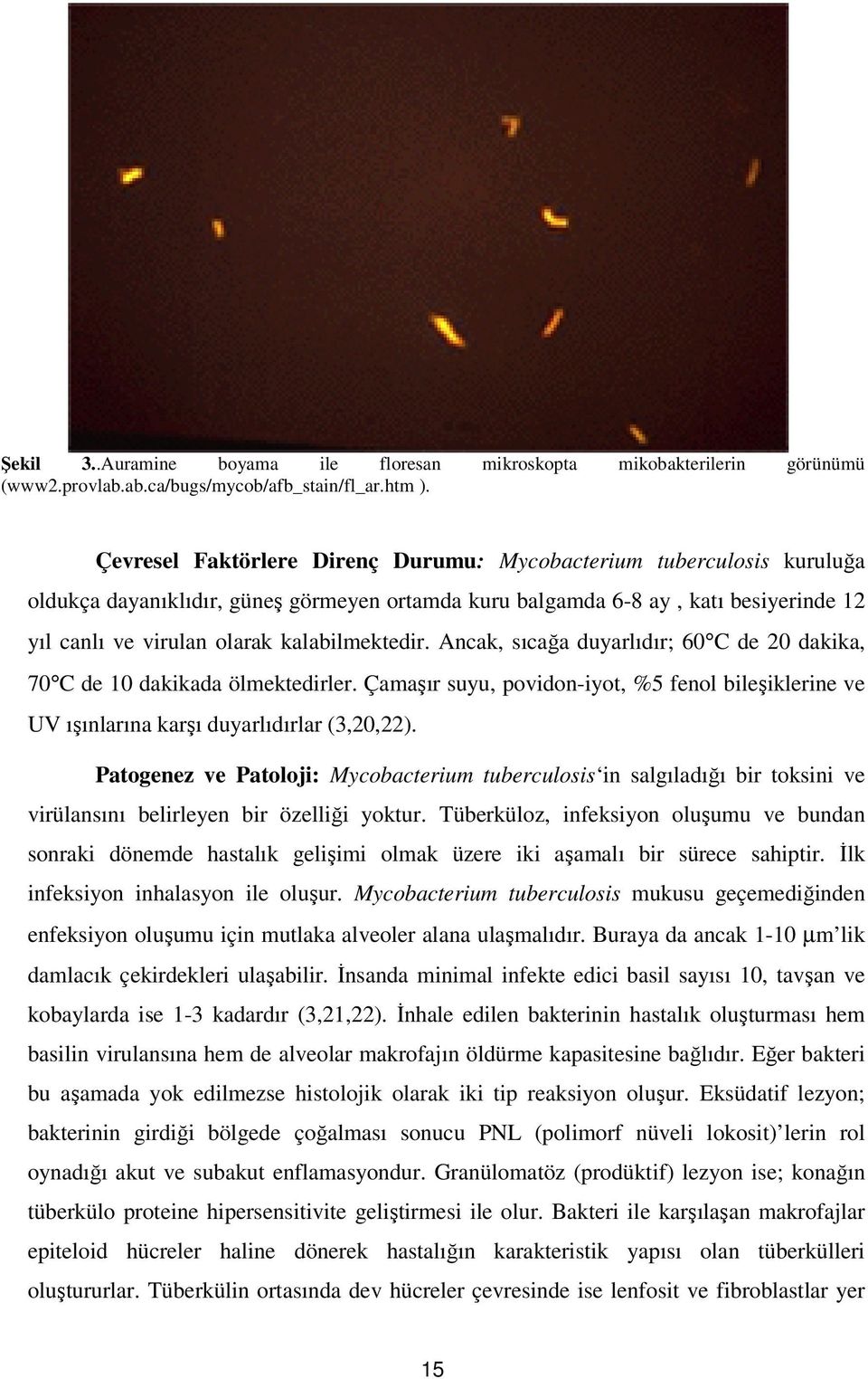 Ancak, sıcağa duyarlıdır; 60 C de 0 dakika, 0 C de dakikada ölmektedirler. Çamaşır suyu, povidon-iyot, %5 fenol bileşiklerine ve UV ışınlarına karşı duyarlıdırlar (3,0,).