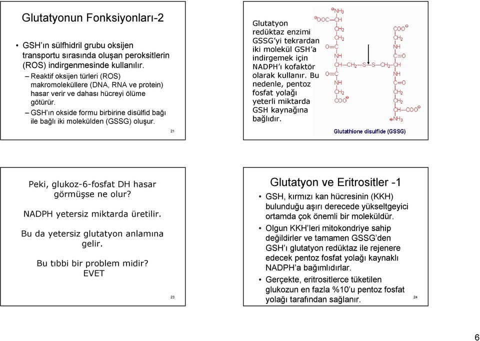 Glutatyon redüktaz enzimi GSSG yi tekrardan iki molekül GSH a indirgemek için NADPH ı kofaktör olarak kullanır. Bu nedenle, pentoz fosfat yolağı yeterli miktarda GSH kaynağına bağlıdır.