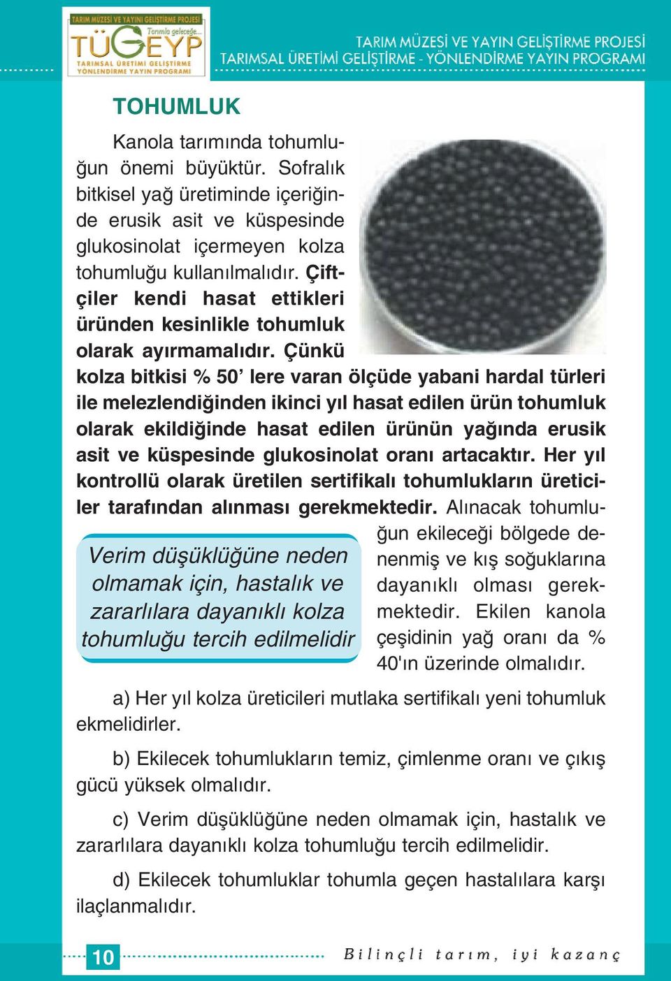 Çünkü kolza bitkisi % 50 lere varan ölçüde yabani hardal türleri ile melezlendi inden ikinci y l hasat edilen ürün tohumluk olarak ekildi inde hasat edilen ürünün ya nda erusik asit ve küspesinde